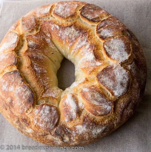 Making a Couronne with Old Dough Mixed Starter