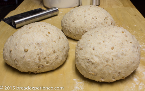 Bulk dough divided into three equal balls resting on a floured surface next to a metal bench scraper.