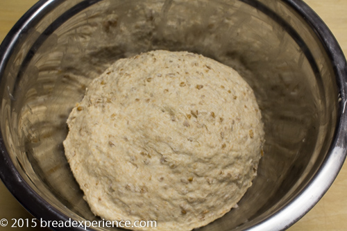 Smooth ball of cracked wheat bread dough resting in a metal bowl after kneading.