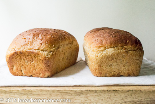 Easy to Make Cracked Wheat Bread 