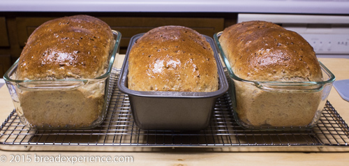 Three freshly baked Cracked Wheat Bread loaves with golden-brown crusts cooling in their pans on a wire rack.