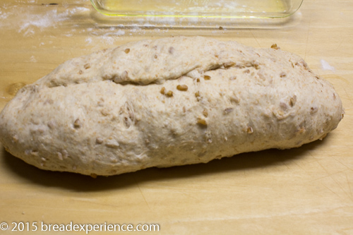 Cracked wheat dough rolled and shaped into a log, ready to be placed in a loaf pan.