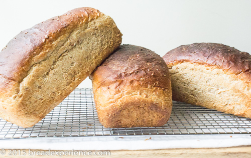 And then there were 3 - Cracked Wheat Loaves