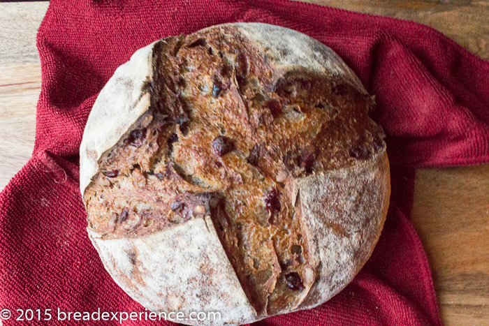 cranberry sourdough rye scored in a cross pattern