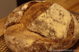 crusty-no-knead-bread008
