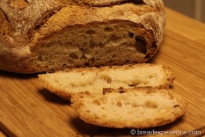 crusty-no-knead-bread024