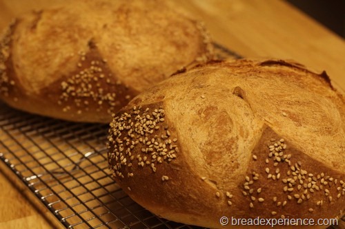 Cuban Bread