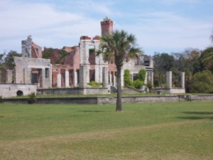 cumberland-island 007