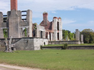 cumberland-island 022