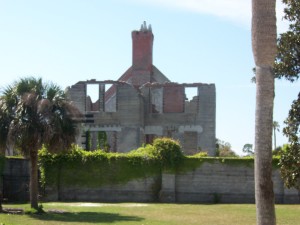 cumberland-island 030