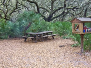 cumberland-island 039