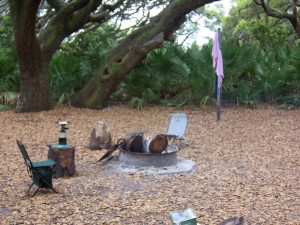 cumberland-island 040