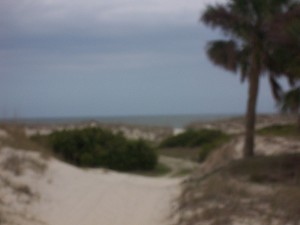 cumberland-island 047