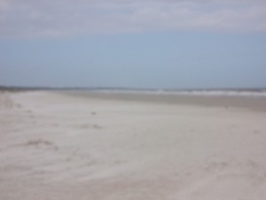 cumberland-island 051