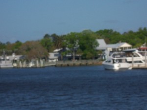 cumberland-island 072