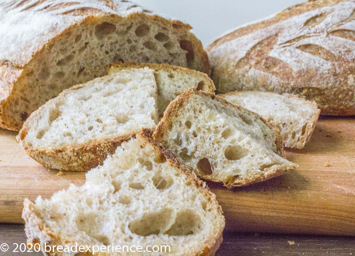 Oval Loaf - Crumb shot