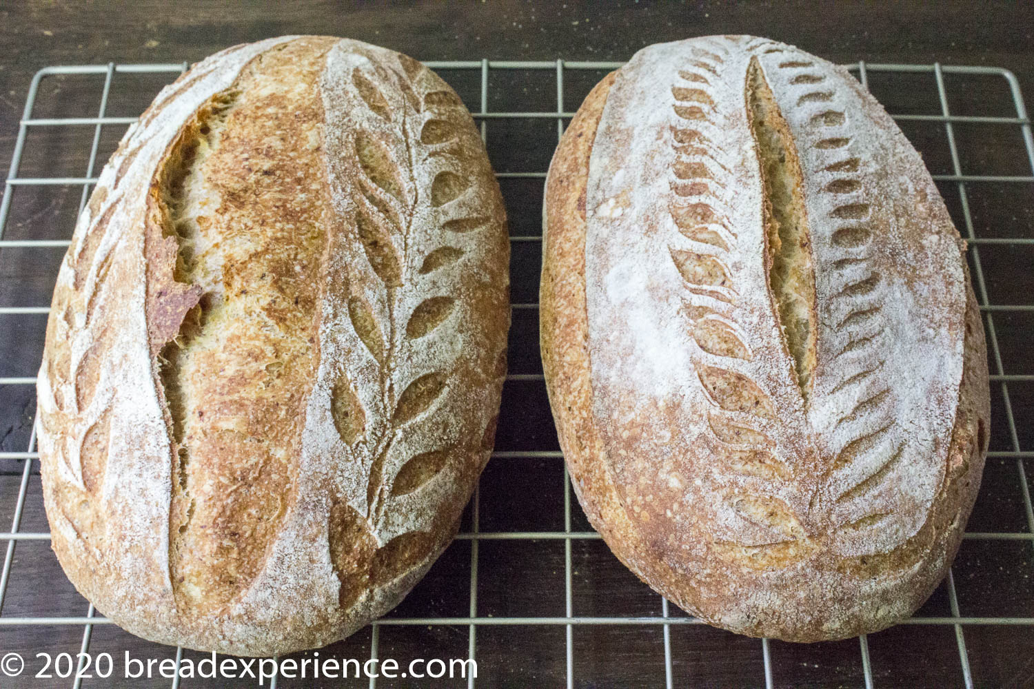 decorative scoring on oval loaves