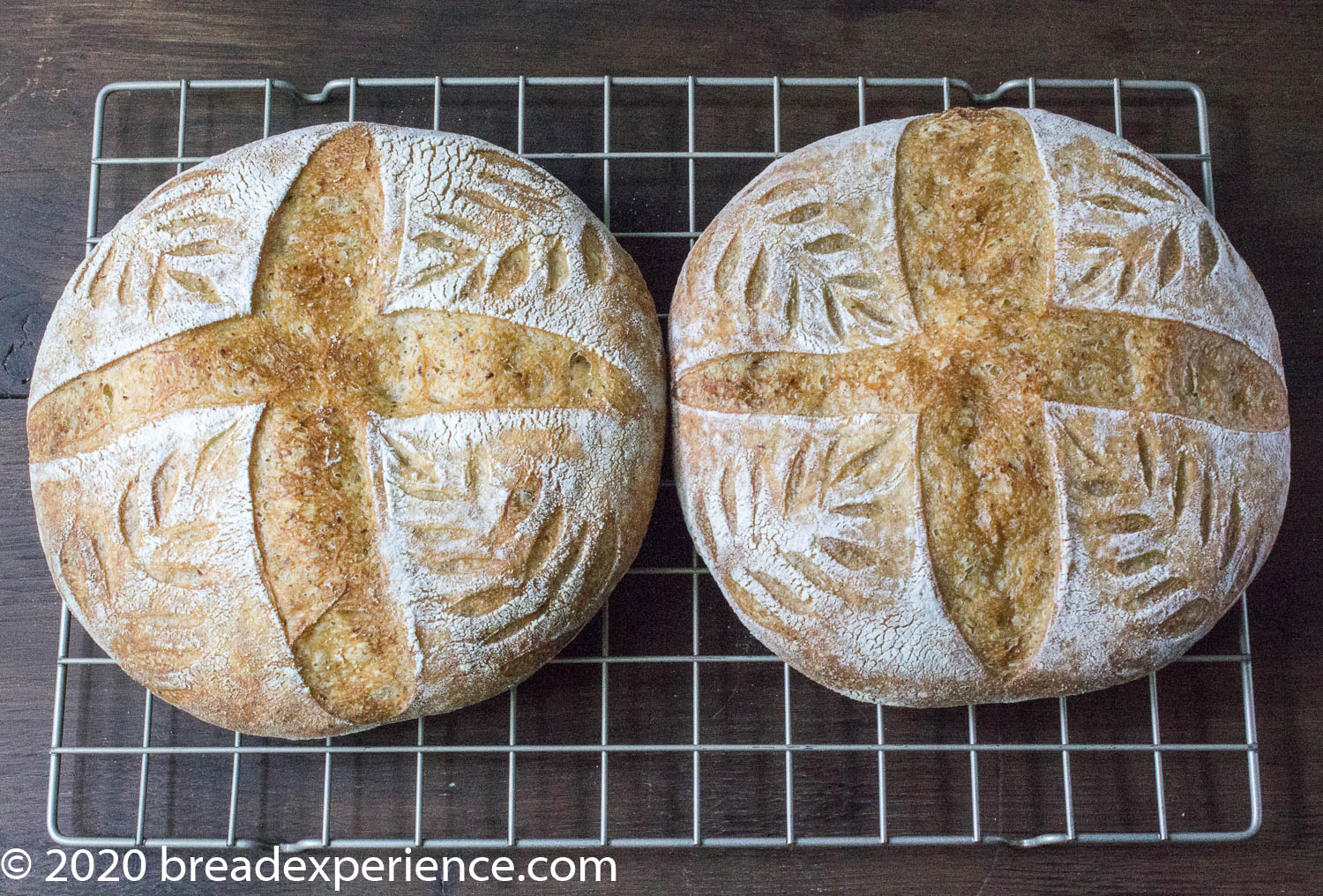 Decorative scoring on round loaves