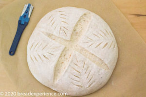 Round loaf scored with straight blade lame