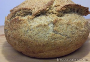 dilled-rye-bread 022