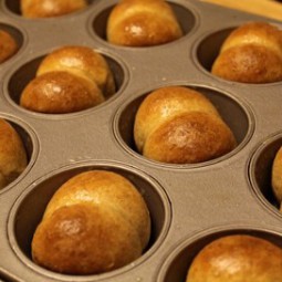 Bread Rolls Recipe