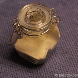 Restarting Dried Sourdough Starter
