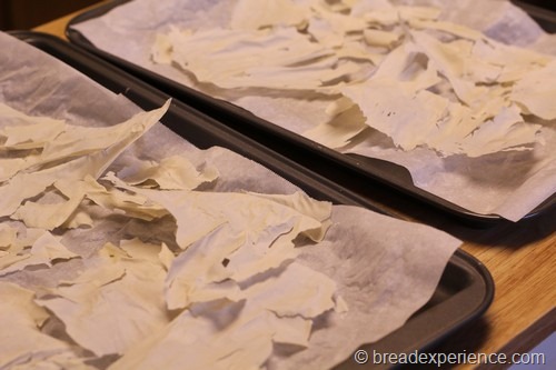 drying sourdough starter