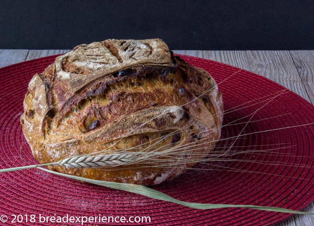 Dutch Oven Sourdough Sweet Potato Crunch Bread - Bread Experience