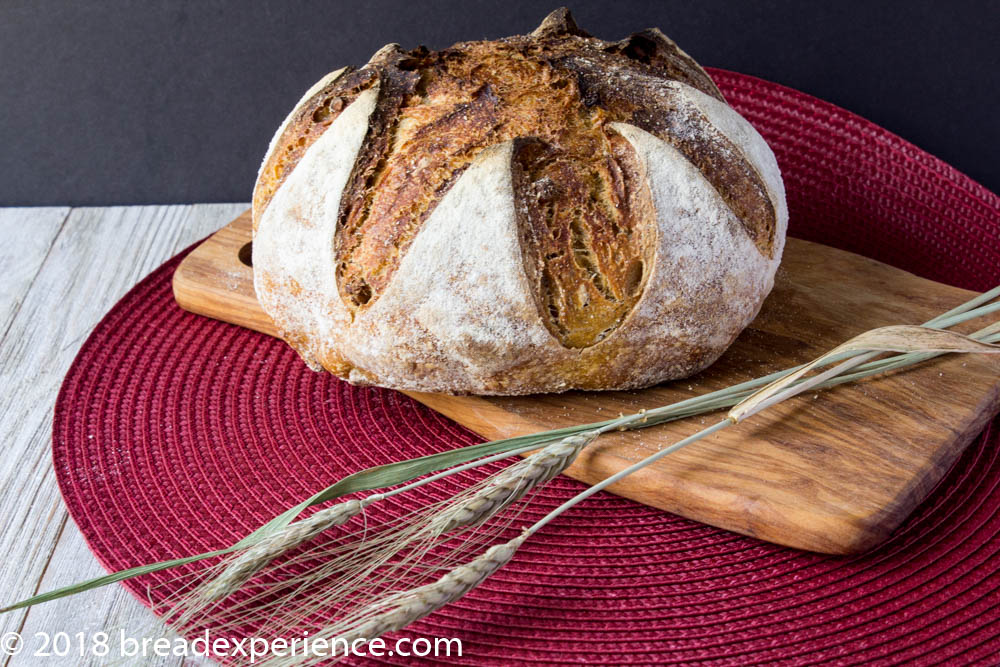 Dutch Oven Sourdough Sweet Potato Crunch Bread - Bread Experience