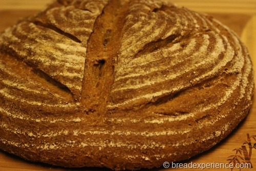 Einkorn Bread using an overnight sponge