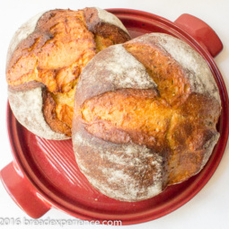 Olive Oil Anise Einkorn Loaves