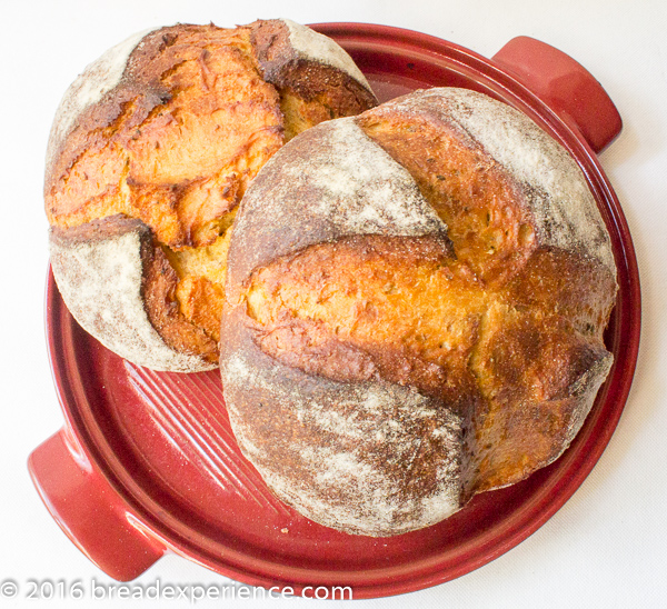 Olive Oil Anise Einkorn Loaves