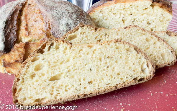 Crumb Shot of Olive Oil Anise Einkorn Loaves 