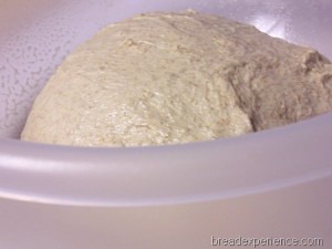 einkorn-levain 007