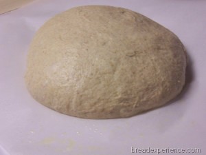 einkorn-levain 009