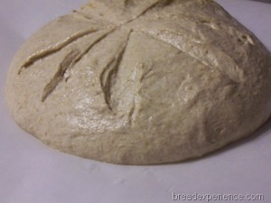 einkorn-levain 011