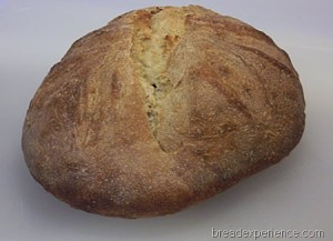 einkorn-levain 022