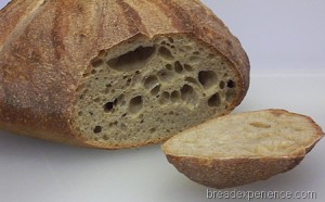 einkorn-levain 024