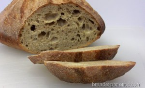 einkorn-levain 030