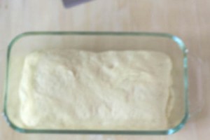 einkorn-sandwich-loaf-17-6