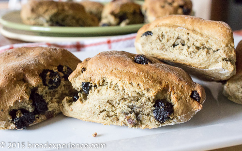 Sourdough Einkorn Scones with dried blueberries 01