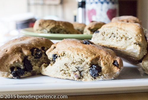 Sourdough Einkorn Scones with Dried Blueberries