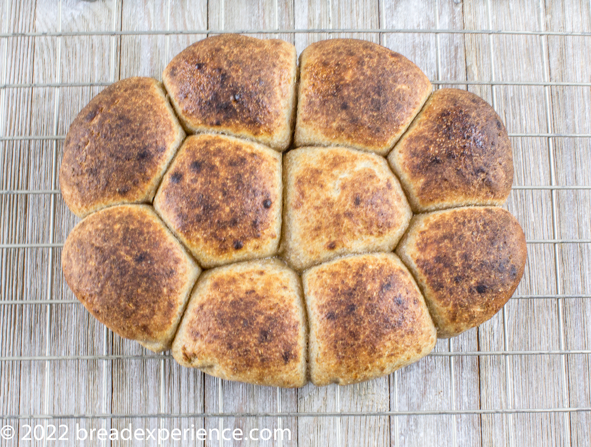 einkorn spelt rolls after browning tops in oven