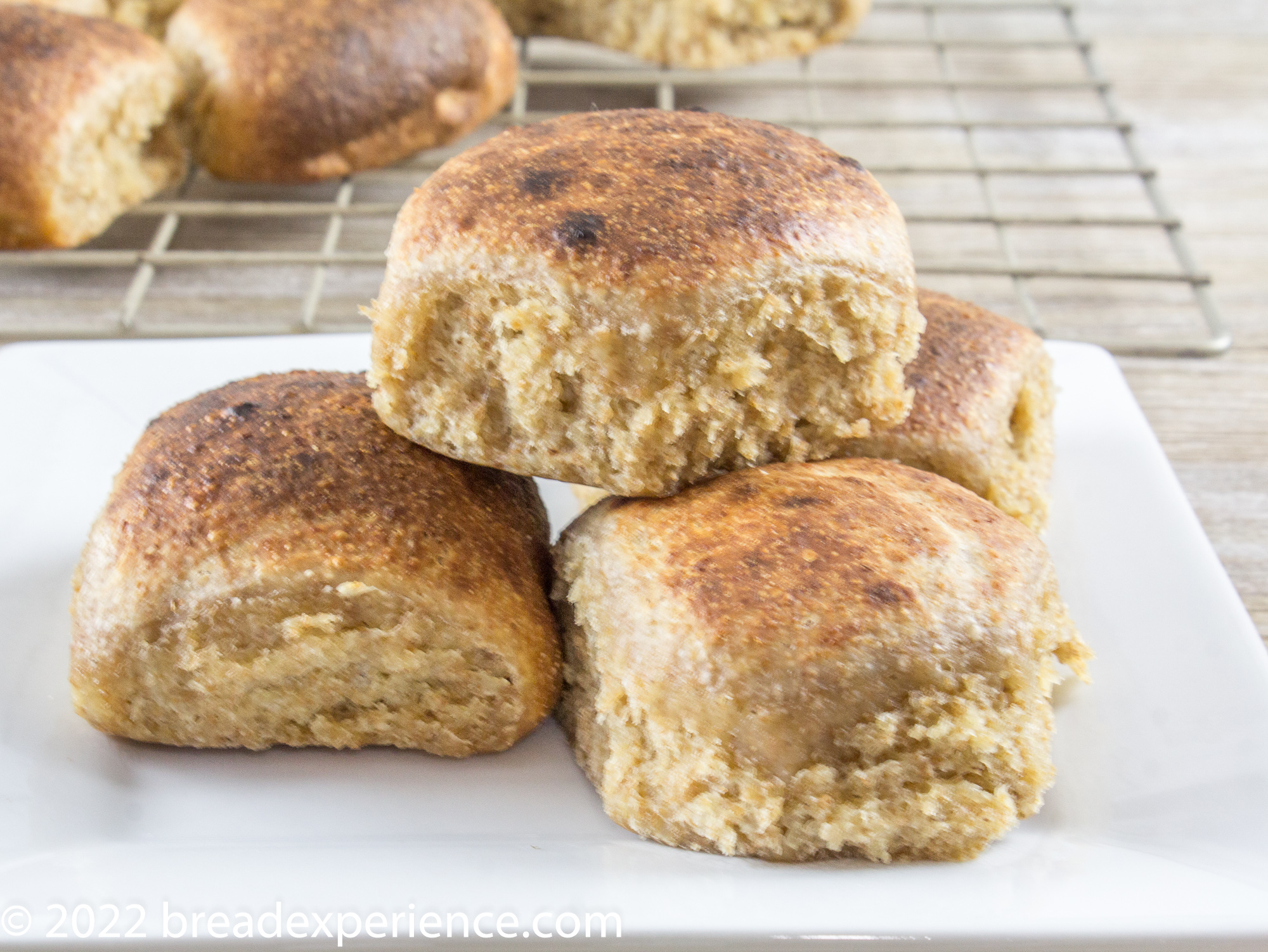 Einkorn and Spelt Slow Cooker Rolls