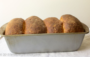 einkorn-spelt-tangzhong-bread-1-3
