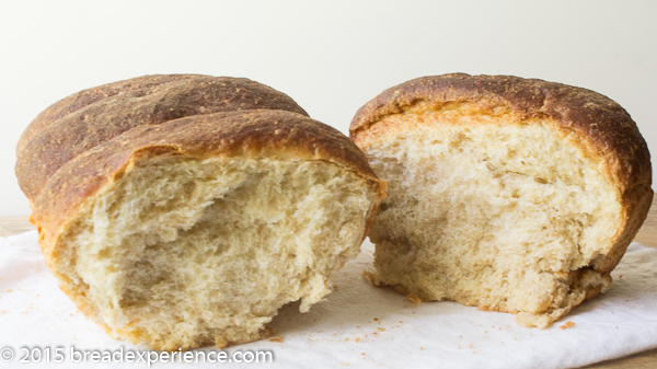 Crumb shot of Einkorn Spelt Tangzhong Loaf