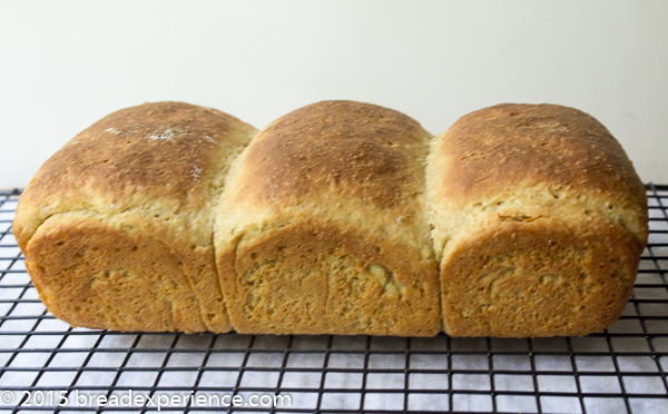 Einkorn Tangzhong Bread