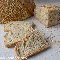 Crumb shot of Einkorn Toasted Oats Bread