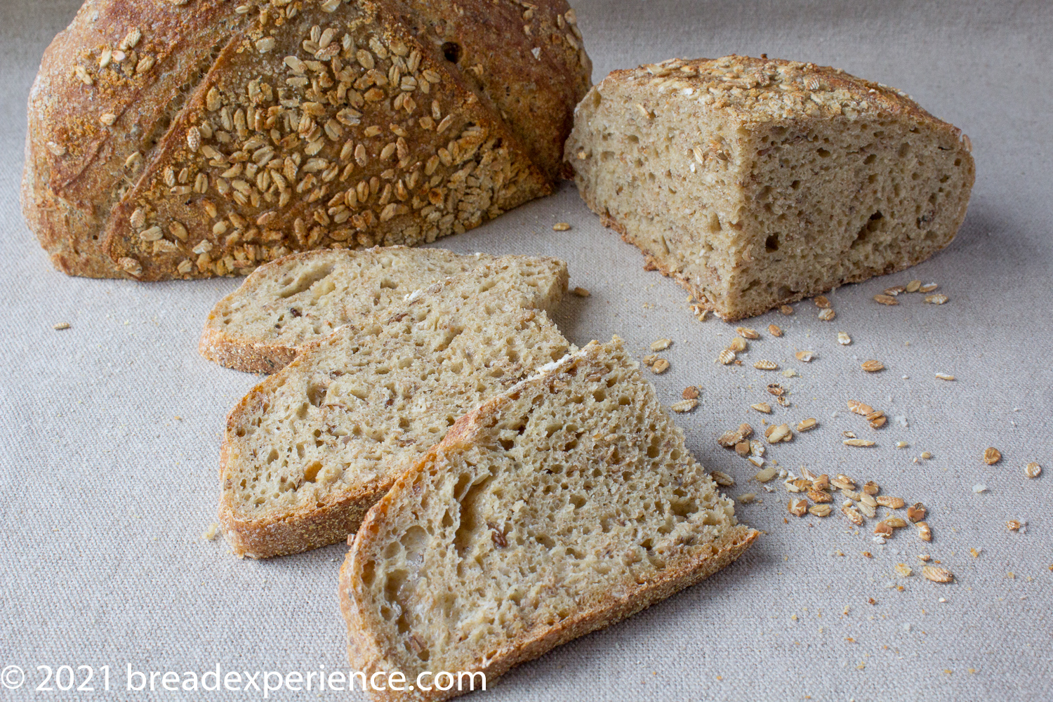 Crumb shot of Einkorn Toasted Oats Bread