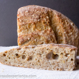 Fermented Sprouted Wheat Porridge Bread
